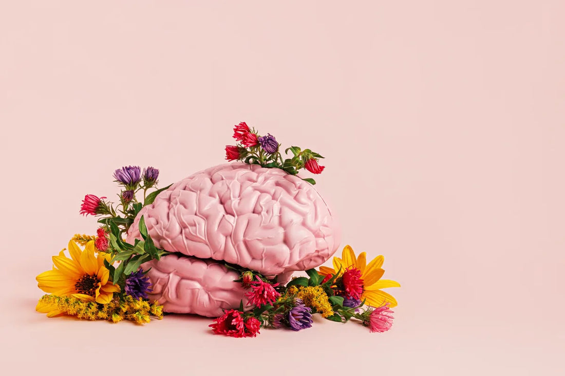 Woman studying and focused, showing cognitive benefits of creatine supplementation