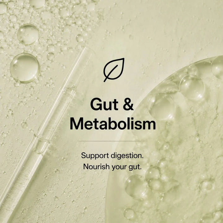 Gut & Metabolism