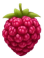 Raspberry